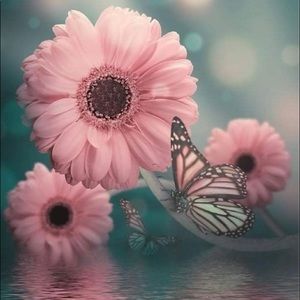 Meet your Posher, Robyn